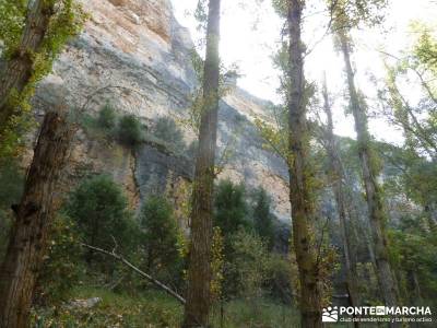 Hoces del Río Duratón - Villa y Tierra de Sepúlveda; nivel medio